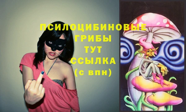 крисы Заволжск