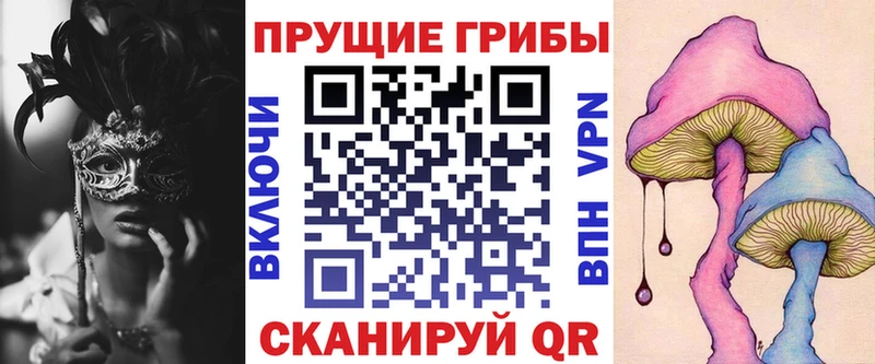 Псилоцибиновые грибы Psilocybe  Купить где  Отрадный 